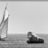 Les_Voiles_du_VieuxPort_2012_SLeDauphin_Photographie_SLD_8106-SEP2.webp