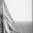 Les_Voiles_du_VieuxPort_2012_SLeDauphin_Photographie_SLD_8179-2.webp