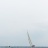 Trophee_Andre_Mauric_2012_Stephane_LeDauphin_20120701_SLD_8387.webp