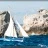 Virade_MACT_2013_SLeDauphin_Photographie_20131013_SLD_3558.webp