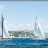 Regate_Automne_2013_MACT_SLeDauphin_Photographie_20131013_SLD_3449.webp