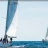 Regate_Automne_2013_MACT_SLeDauphin_Photographie_20131013_SLD_3481.webp