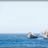 Calanques Classiques 2013 : NiN