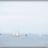Calanques_Classiques_2013_SLeDauphin_Photographie_20130505_DSC_2205.webp