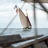 BIP_en_fete_2014_Stephane_LeDauphin_20140615_SLD_5677.jpg