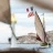 BIP_en_fete_2014_Stephane_LeDauphin_20140615_SLD_5706.jpg