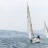 PriMACT CUP 2016 : Friquet, Sari