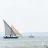 Les_Voiles_de_l_Etang_2016_Stephane_LeDauphin_20160702_SLD_6029.webp