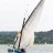 Les_Voiles_de_l_Etang_2016_Stephane_LeDauphin_20160702_SLD_6067.webp