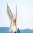 L'Etang des Voiles 2016, Première Edition