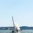 Les_Voiles_de_l_Etang_2016_Stephane_LeDauphin_20160703_SLD_6535.webp