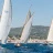 Les Voiles Classiques de Sanary 2016 : Palynodie, Nin, Isis