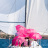 Les_Voiles_Classiques_de_Sanary_2016_Stephane_LeDauphin_20160828_SLD_7471.webp