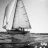 Les_Voiles_Classiques_de_Sanary_2016_Stephane_LeDauphin_20160828__DSC3580.webp