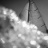 Les_Voiles_Classiques_de_Sanary_2016_Stephane_LeDauphin_20160828__DSC3585-2.webp