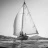 Les_Voiles_Classiques_de_Sanary_2016_Stephane_LeDauphin_20160828__DSC3595.webp