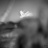 Les_Voiles_Classiques_de_Sanary_2016_Stephane_LeDauphin_20160828__DSC3640.webp