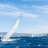 12eme__MACT_Cup_2017_Stephane_LeDauphin_20171008_SLD_0967.webp