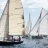 Les_6eme_Voiles_Classiques_de_Sanary_2017_Stephane_LeDauphin_20170826_SLD_9904.webp