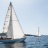 Les 6eme Voiles Classiques de Sanary 2017 : Palynodie II #FRA2054, Topo Gigio