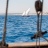 L'Etang_des_Voiles_2018_Stéphane_LeDauphin_20180630_SLD_3012.jpg