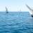 L_Etang_des_Voiles_2018_Stephane_LeDauphin_20180630_SLD_3089.webp