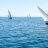 L'Etang_des_Voiles_2018_Stéphane_LeDauphin_20180630_SLD_3089.jpg
