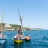 L_Etang_des_Voiles_2018_Stephane_LeDauphin_20180630_SLD_3095.webp