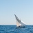 L_Etang_des_Voiles_2018_Stephane_LeDauphin_20180630_SLD_3108.webp