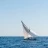 L'Etang_des_Voiles_2018_Stéphane_LeDauphin_20180630_SLD_3108.jpg