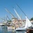 L_Etang_des_Voiles_2018_Stephane_LeDauphin_20180701_SLD_3179.webp