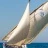 L'Etang_des_Voiles_2018_Stéphane_LeDauphin_20180701_SLD_3341.jpg