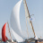 La_Sanaryenne_Classique_Stéphane_LeDauphin_20220515_SLD_8972.jpg